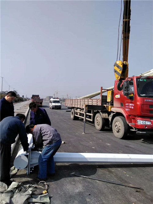 河南乐动网站合作案例